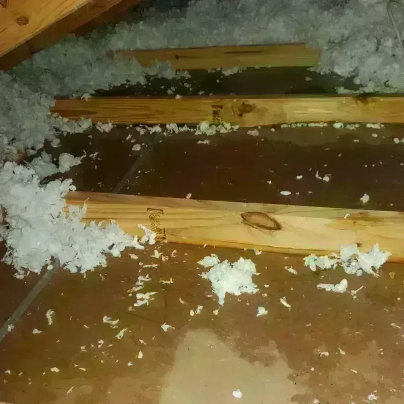 Attic Water Damage in Bellaire, OH