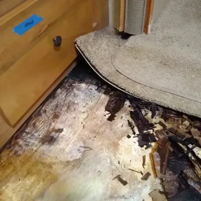 Wood Floor Water Damage in Bellaire, OH